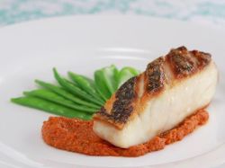 Gourmet Snapper with Insurgent Cuisine